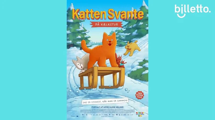 Katten Svante på kælketur