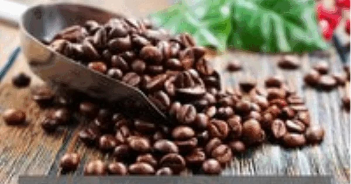 Kaffe v/Aske Bosselmann, Anders Barfod og Kjeld Hermansen