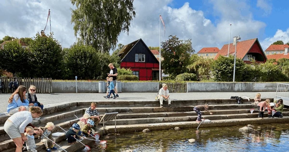 Lån et net og en bakke i Roskilde Oplevelseshavn og Fjordhave