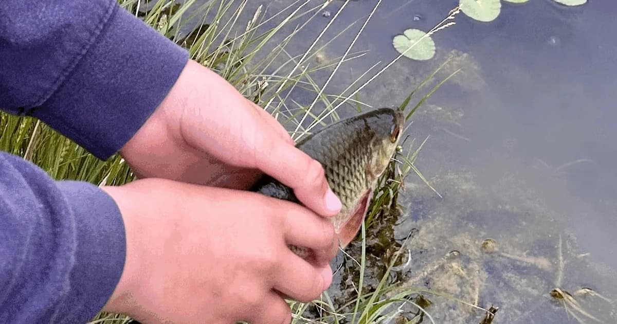 Vil du med på fisketur i Lynghøjsøerne?
