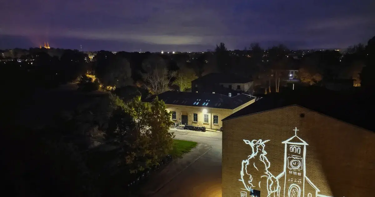 Hvor træerne gror ind i himlen