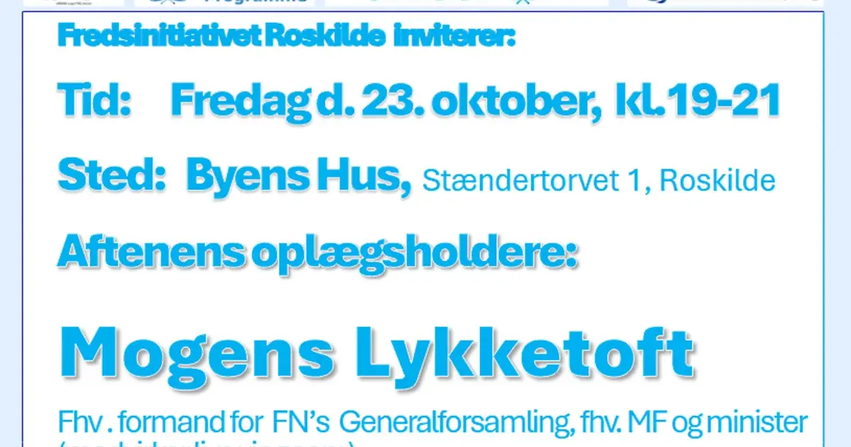 Hvad skal vi bruge FN til ?