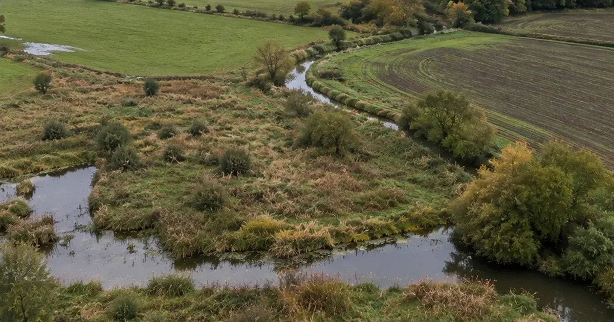 Landbrug, vandmiljø, natur - hvordan skal fremtiden se ud?