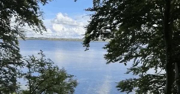 Guidet adventsvandretur ved Roskilde Fjord og skov