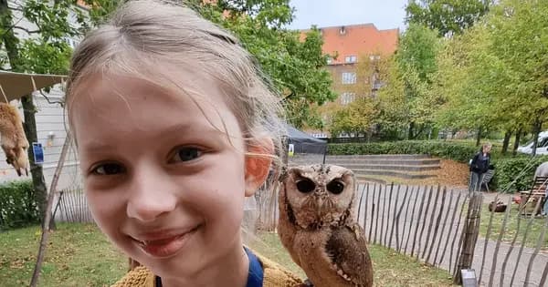 Ugleshow (0. til 10. klasse)