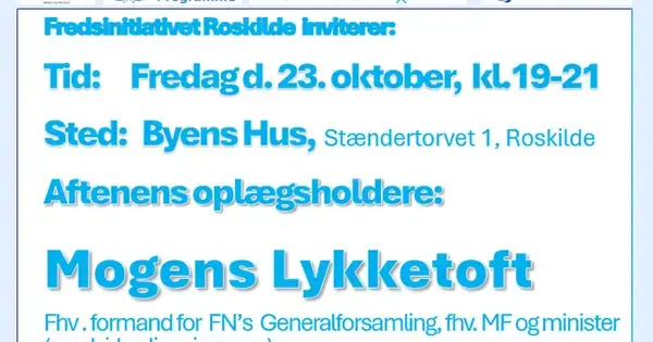 Hvad skal vi bruge FN til ?