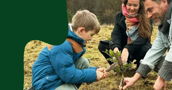 Plant et træ i Himmelev Skov