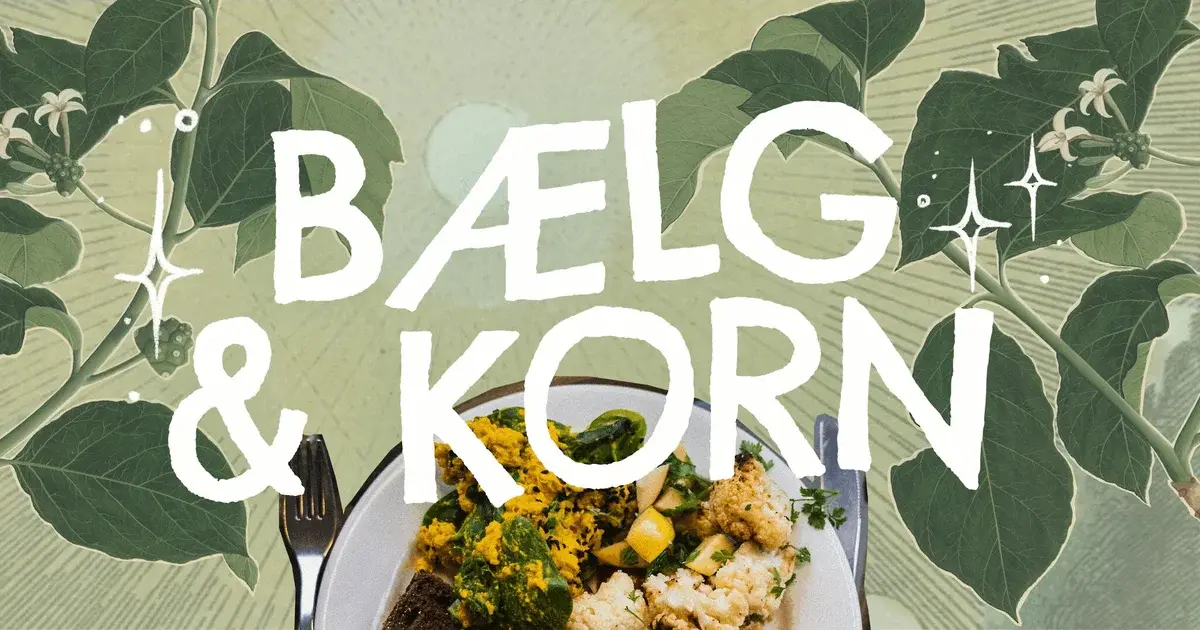 Bælg & Korn: Korn- og Grøntsagssuppe