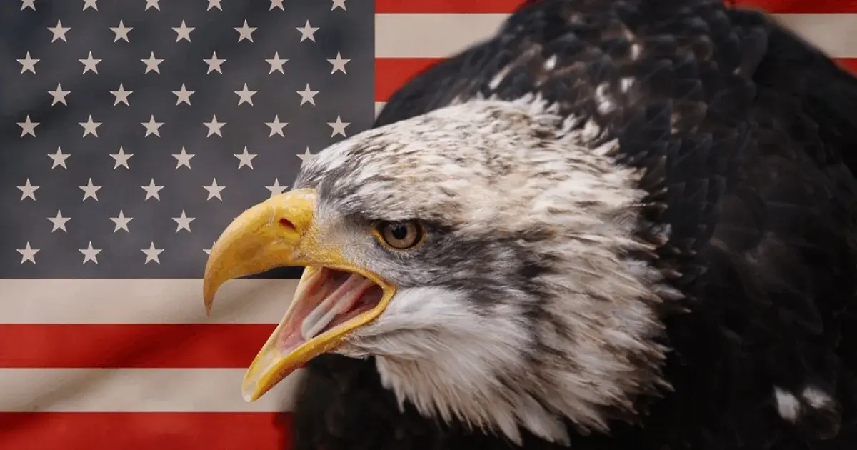 USA efter midtvejsvalget