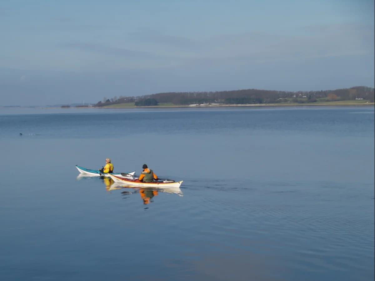 Two kayakers paddling on calm water with a low shoreline in the distance.