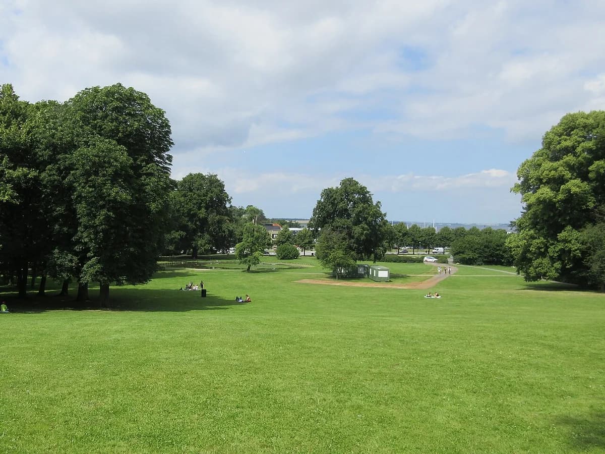 A grassy city park with trees and people relaxing on the lawn.