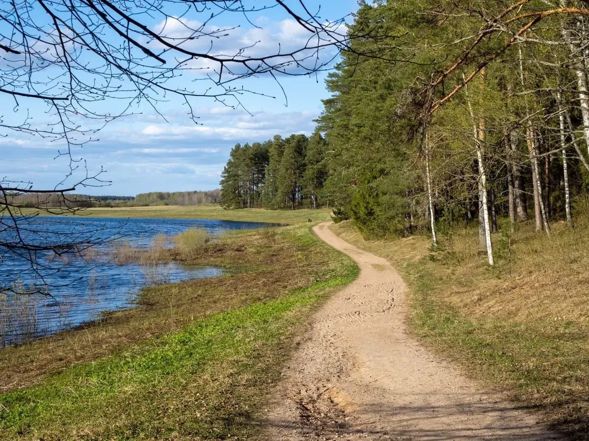 A dirt path next to a lake with trees under a blue sky