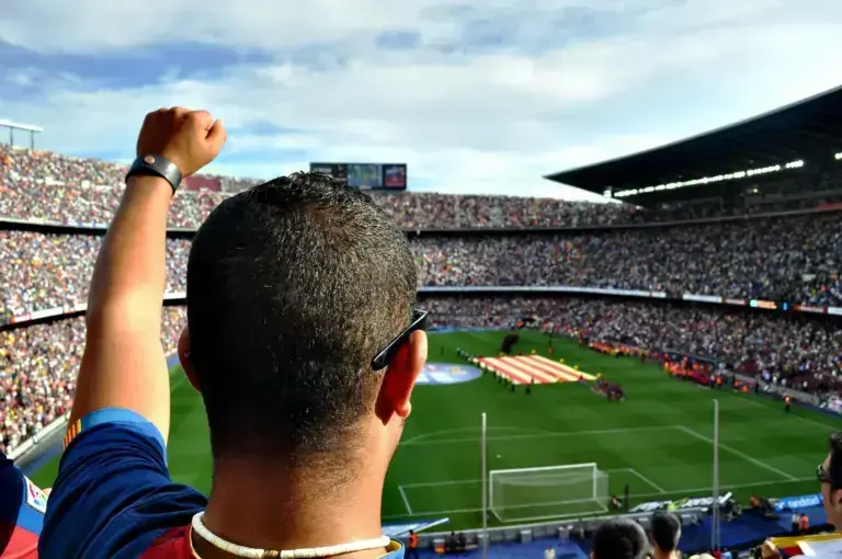 Man cheering in stadium during soccer match