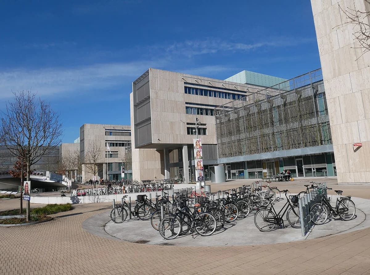Modern university campus buildings with many parked bicycles.