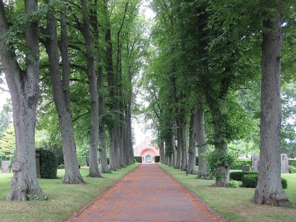 Tree-lined path in a historic cemetery leading to a pink chapel.